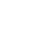 Custom Fields